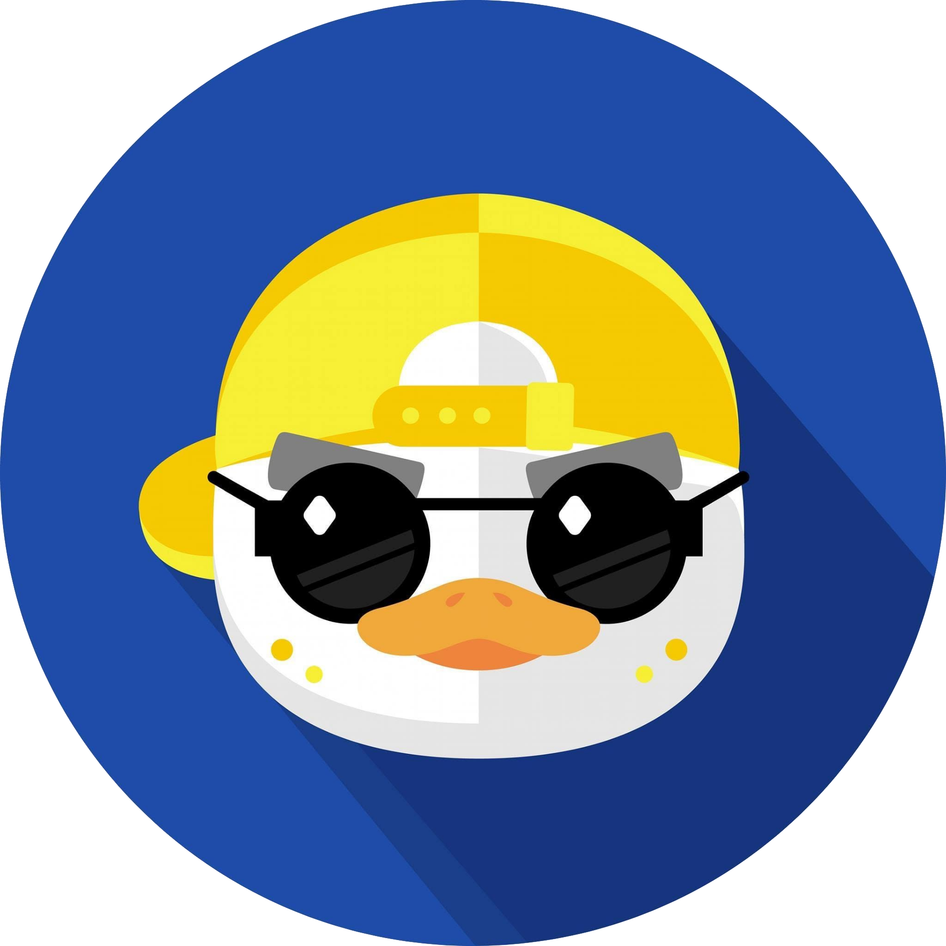 DataRockie